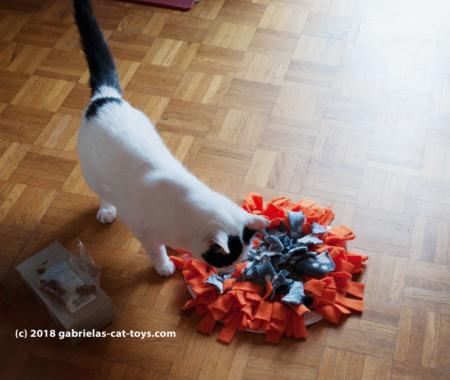 *Schnüffi* Schnüffelteppich – Bild 8
