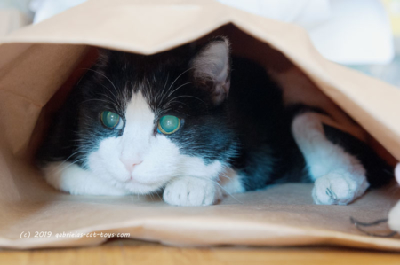 Papier-Versteck- und Rascheltüten – Bild 8
