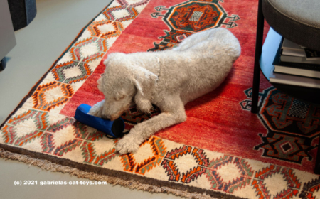 Futterbeutel starke Version – Bild 3