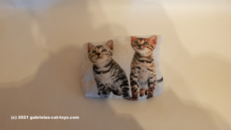 Smellie Bengals